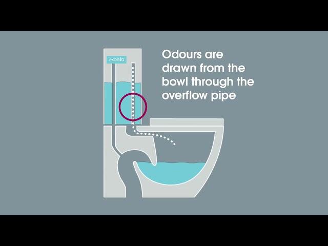 Milu Odourless Toilet
