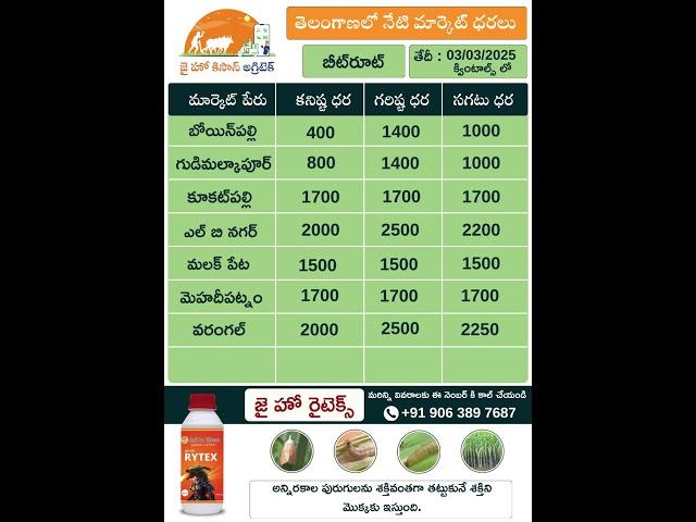 Today Market Prices of Beetroot & Carrot in Telangana | jhk market rate updates |     @JaiHoKisan