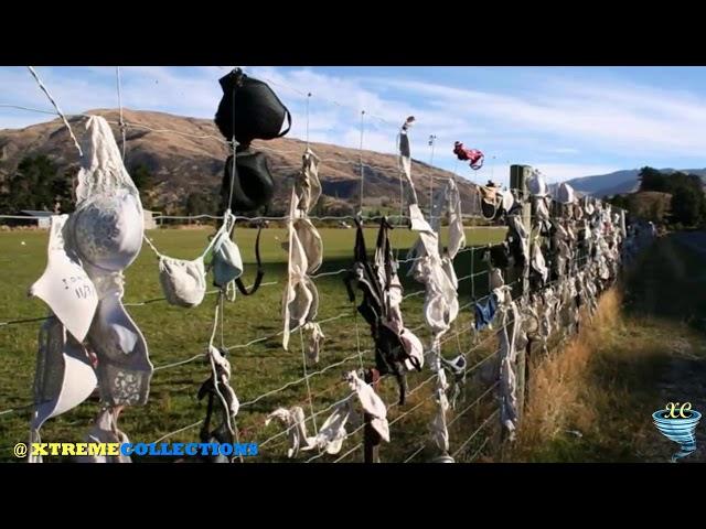 The Cardrona Bra Fence, New Zealand