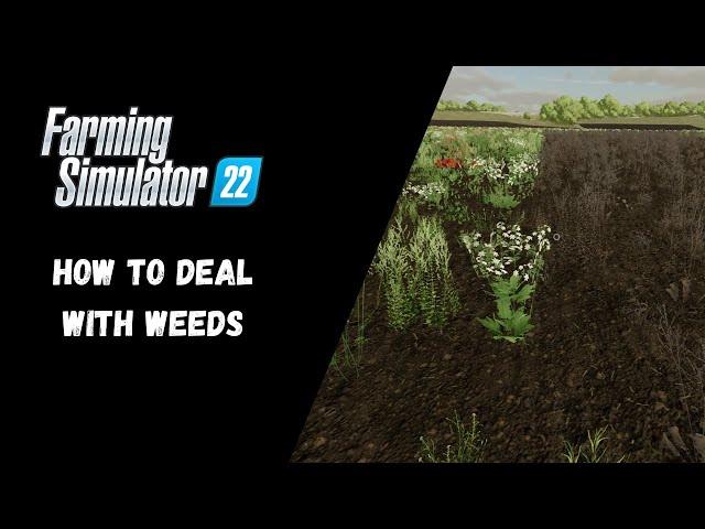 FS22 - How To Deal With Weeds - Farming Simulator 22