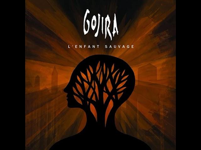 Gojira - Explosia