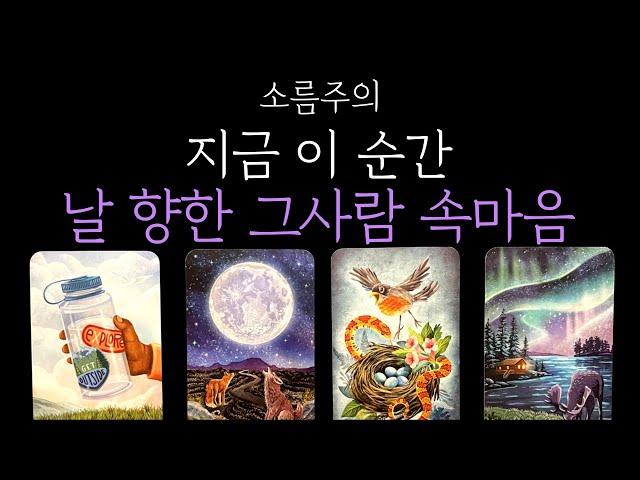 [타로속마음] 소름보장나를 향한 그 사람 현시점 속마음 짝사랑 · 썸 · 커플 · 재회