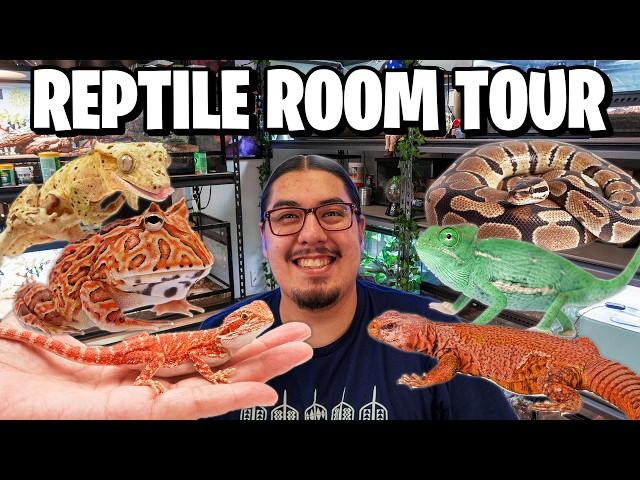 Reptile Room Tour! Pet Room