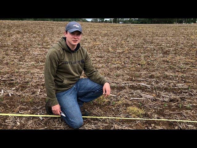 Some Early Corn Scouting Tips With Crop Specialist Charles Hebble