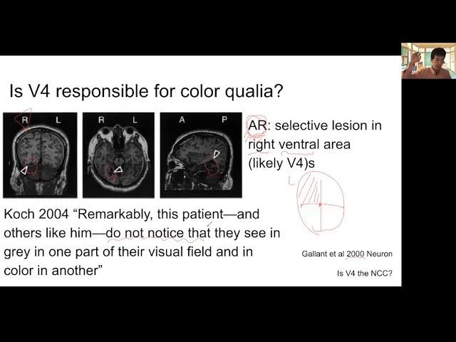 Week 7: The Neural basis of consciousness: Higher visual areas and the NCC