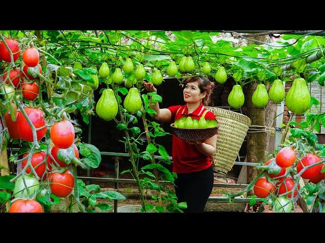 60 Busy Days Harvesting Crops Go to Market to Sell, Spring Crop Care, Animal Care, Green Garden Care