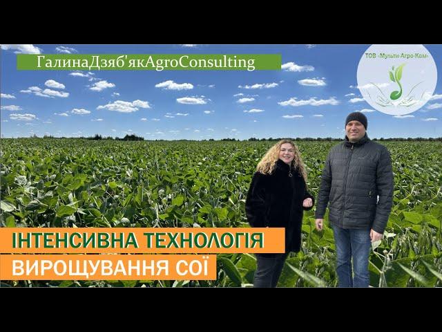 ЯРОСЛАВ БАЙ | Всі технологічні елементи вирощування СОЇ