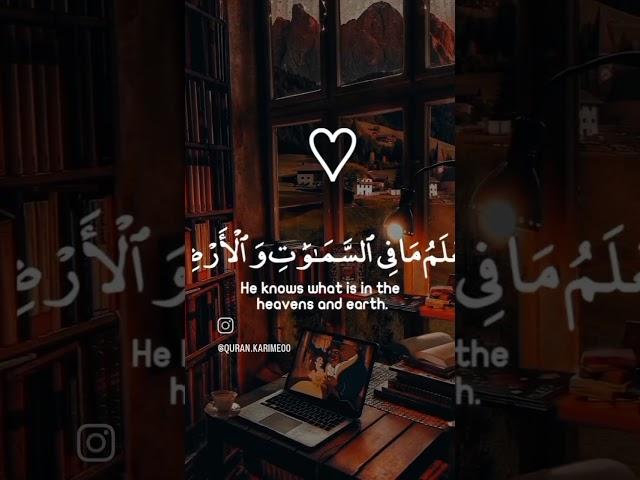 تلاوات خاشعة للقارئ شريف مصطفى ️#explore #youtube #fyp #المغرب #تلاوات quran #instagram