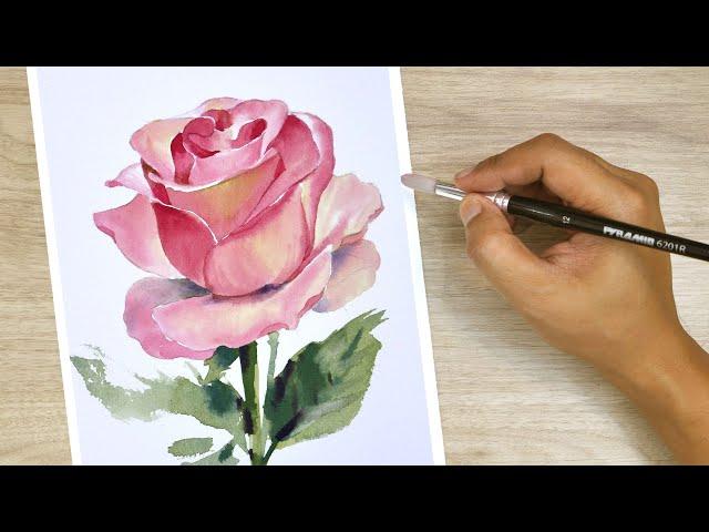 Watercolor painting Pink rose tutorials watercolour