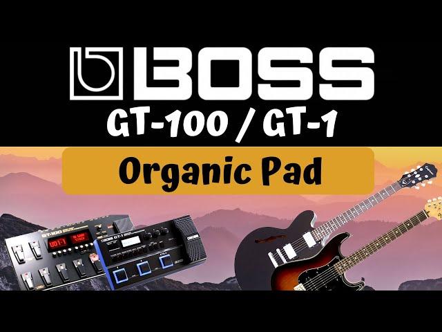 Organic Pad || Boss GT 100 || Boss GT 1 patch - Ambient guitar preset