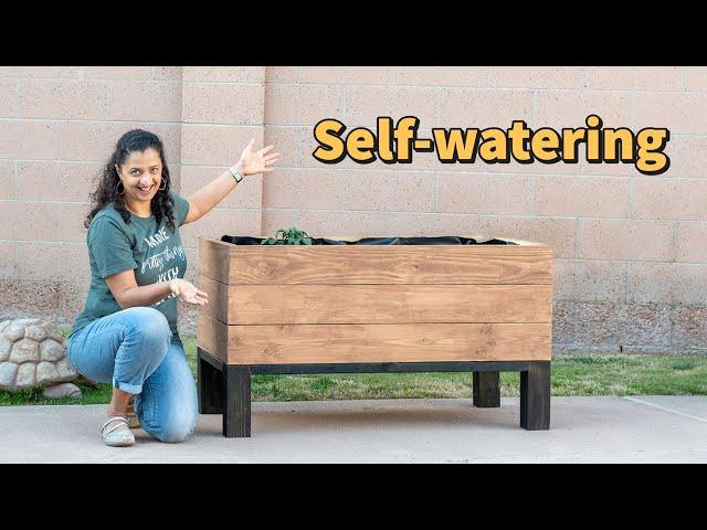 DIY Self-Watering Raised Planter Bed (Sub-irrigation system)