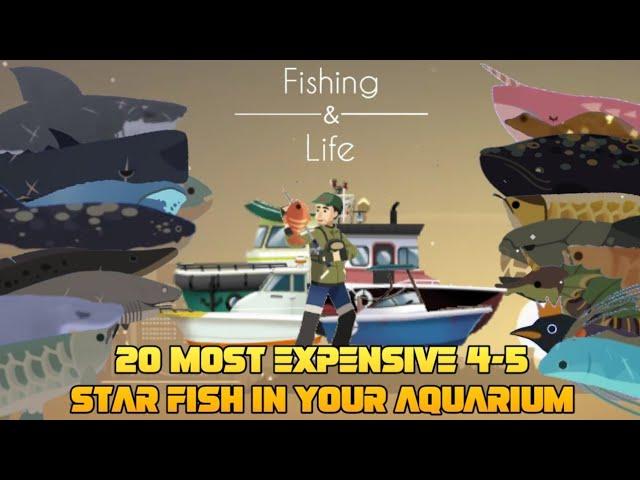 Fishing & Life | Top 20 Best 4 - 5 Star Fish in your Aquarium |