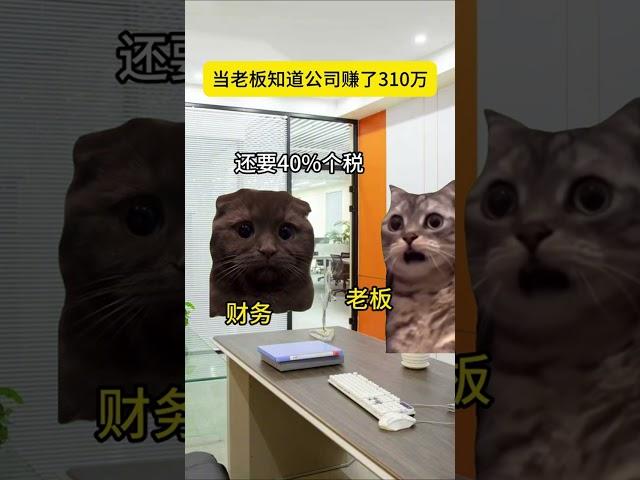 #猫meme #cat #猫meme小剧场 #猫meme剧场