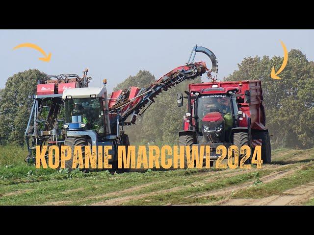 Kopanie Marchwi  2024 !  2 Zestawy  NOWY NABYTEK!?...