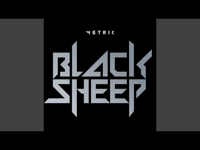 Black Sheep