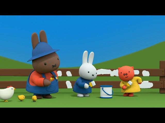 Miffy Paints the Farm Fence | Miffy | Best Of Miffy