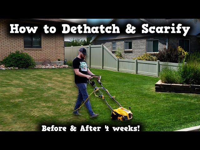 DIY How To: DETHATCHING & SCARIFYING this lawn SAVED IT!  From brown to green again.