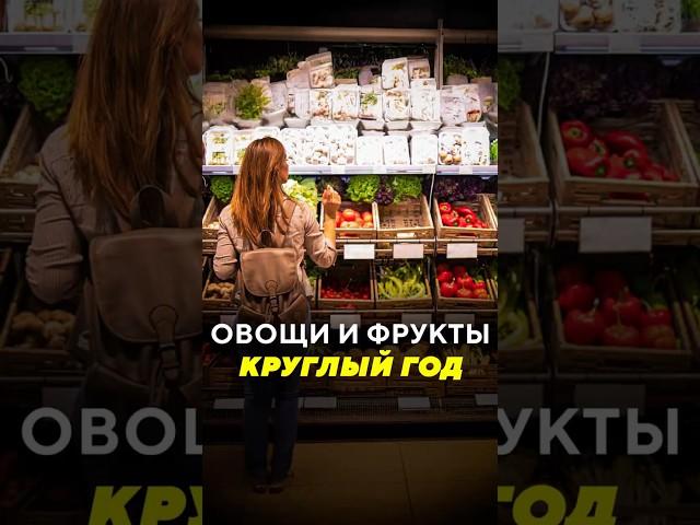 Овощи и фрукты круглый год / Специальные новости #овощи #фрукты #лукашенко #картошка #дефицит