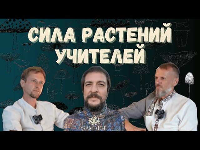 СИЛА РАСТЕНИЙ-УЧИТЕЛЕЙ: ИНТЕРВЬЮ О ТРАНСФОРМАЦИИ