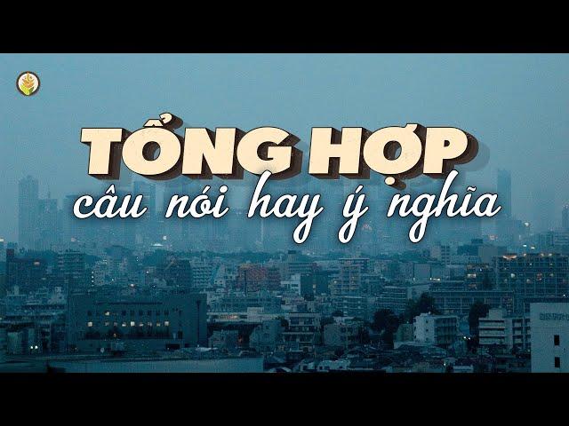 Tổng Hợp Những Câu Nói Hay Trong Cuộc Sống Ý Nghĩa và Thiết Thực nhất