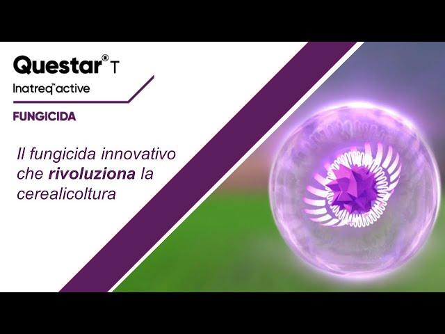 Questar T, il fungicida innovativo che rivoluziona la cerealicoltura