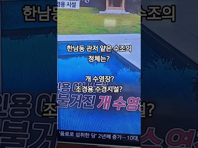 한남동 관저 수조의 정체? 개수영장? #윤석열 #윤석열대통령 #한남동관저 #한남동개수영장 #shorts
