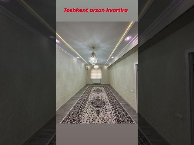 arzon kvartira Toshkent #uylar #uzbekistan #shortvideo #arzonuylar #top #toshkent #hovli #narxnavo