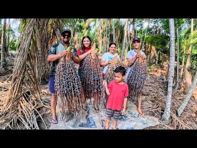 VLOG NOSSO DIA NA ROÇA COM NOSSOS AMIGOS CATAMOS BACABA E OLHA OQUE FIZEMOS