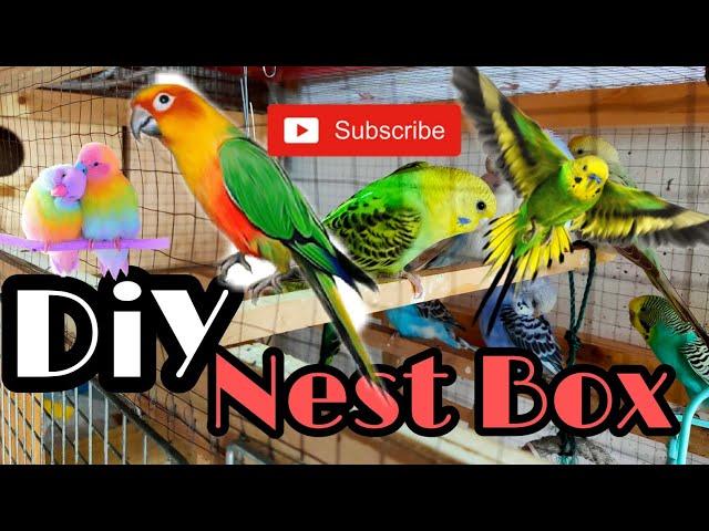 DiY Bird Nest box using jigsaw and Nailer gun