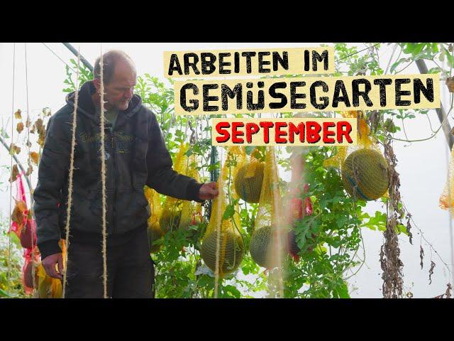 Wichtige Gartenarbeiten im September im Gemüsegarten, Erdbeeren schneiden, Melonen, Sträucher