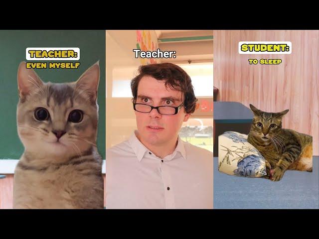 Laugh OUT LOUD in 8 Minutes with These HILARIOUS Moments! | CAT MEMES @Ryanhdlombard Compilation #3