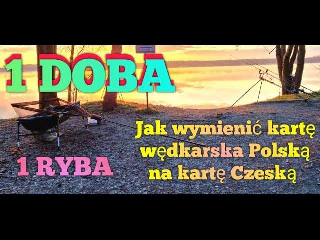 1 DOBA. Jak wymienić kartę wędkarska Polską na Czeską @DKARPIO #fox #fish #fishing #karpfenangeln