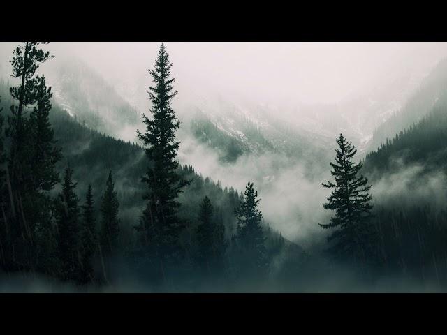 still life in forks - twilight comfort playlist (with rain)