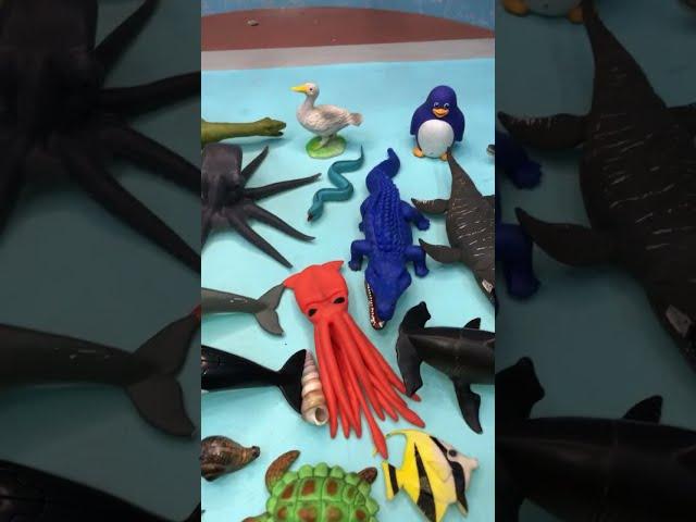 Dive Into Aqua World: Puffer, Clown, Eel, Goldfish, Seahorse, #dolphin #shark #starfish