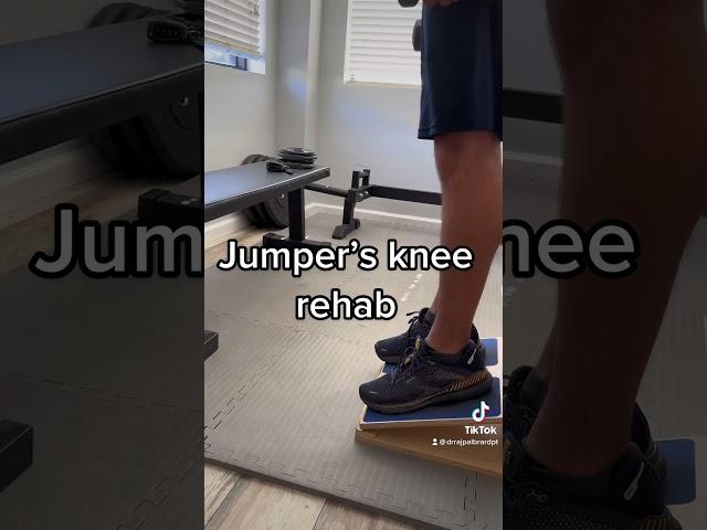 Treating jumper’s knee (patellar tendinopathy). Expert explains | #kneepain #kneeinjury #basketball