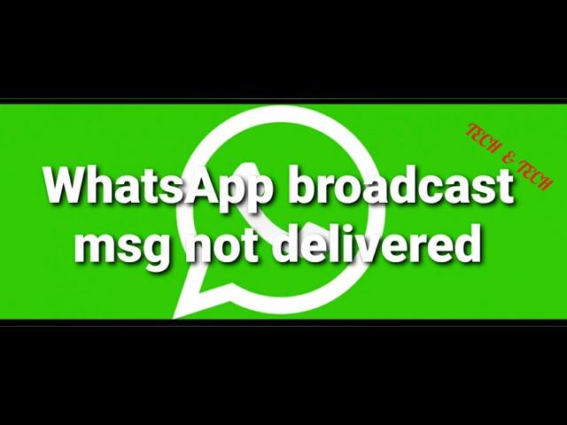 whatsApp broadcast messages not delivered problem solved