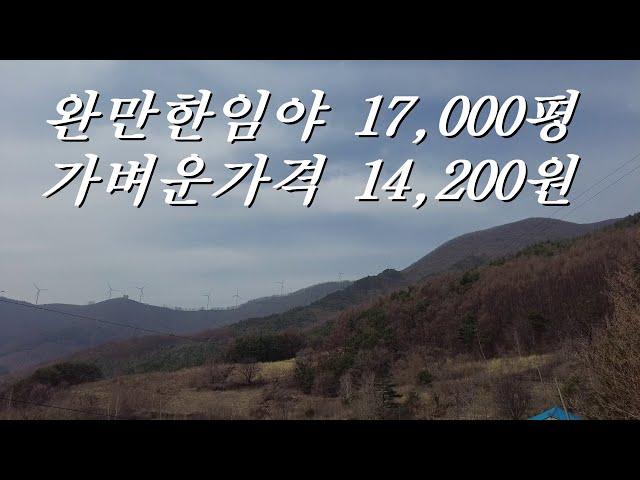 (낙찰 300,100,200원 (84%))평창임야 완만한  준보전산지 17,700여평 평당14,000원