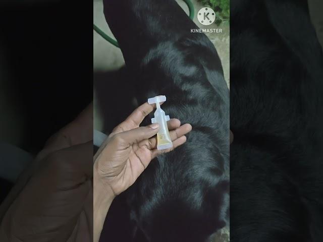 dog ticks medicine (Fixotic advance spot on )