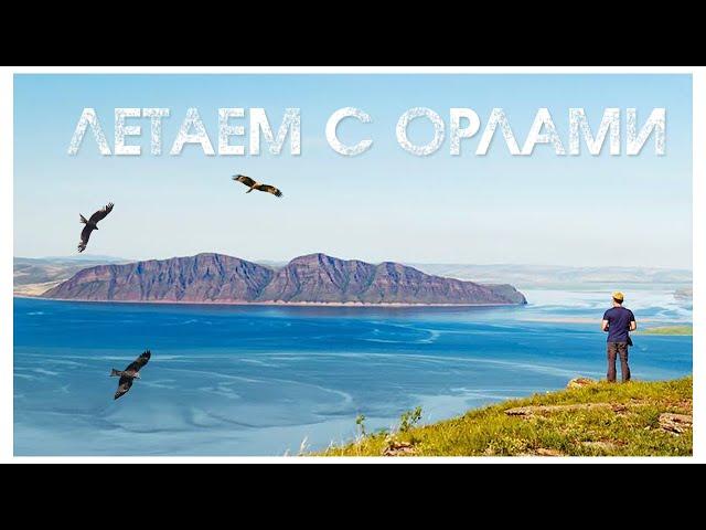 Природа Хакасии. Летаем с орлами на горе Куня