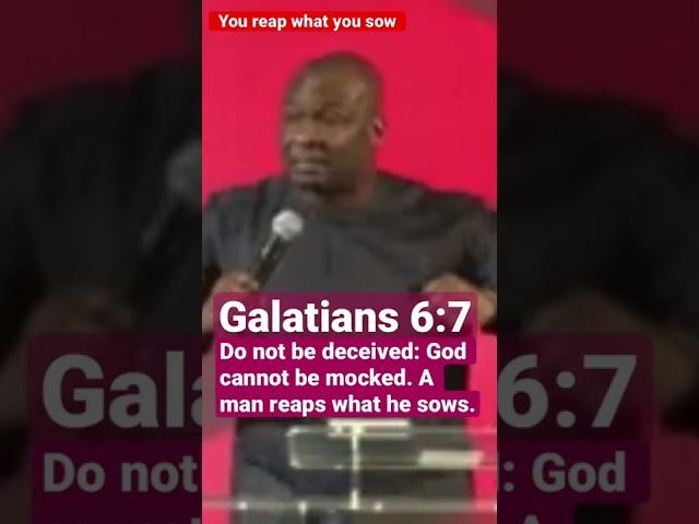 You reap what you sow #apostlejoshuaselman #shorts #reapwhatyousow