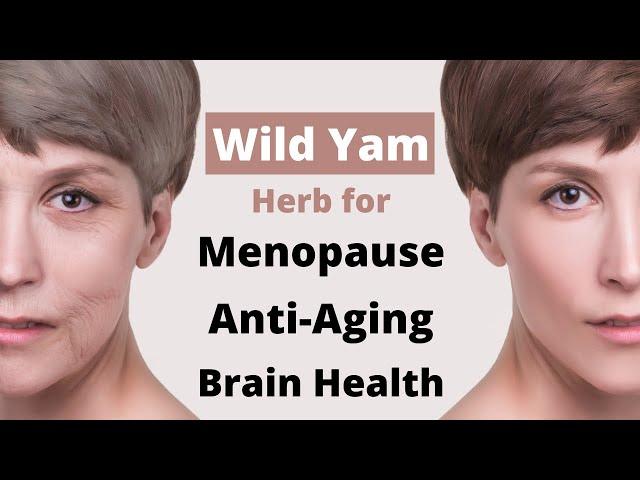 Wild Yam 10 Benefits + How to Use (Herb for Menopause, Anti-Aging, Brain Health) [Multi-Subtitles]