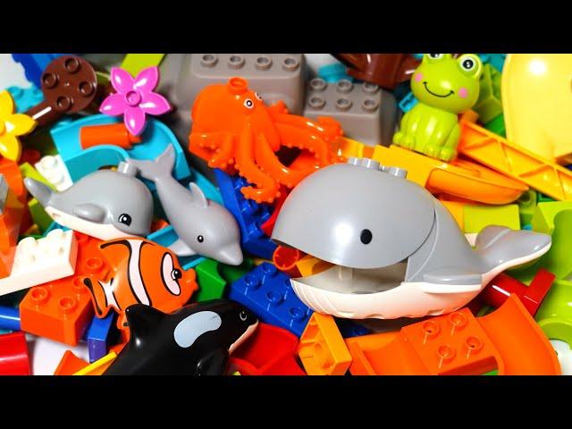 Satisfying Building Blocks Marble Run Very popular! Whale, killer whale and sea creature coasters