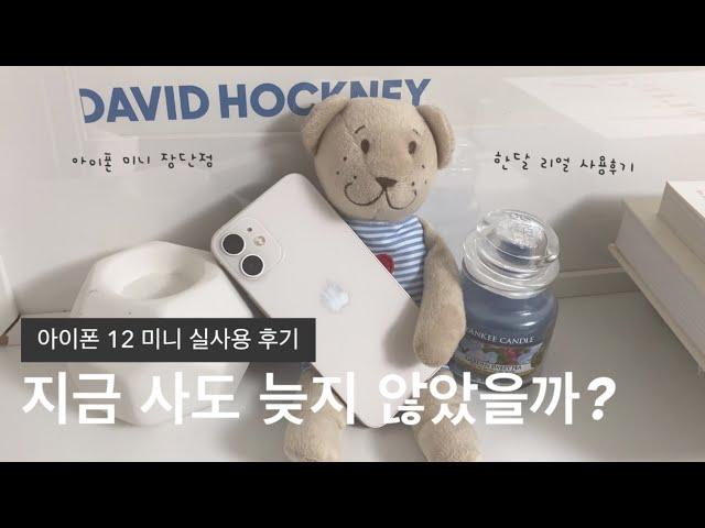 Buy iPhone 12 mini NOW ? Review 1 month later