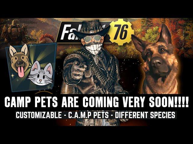 Fallout 76 - CAMP PETS ARE COMING Sooner Than You Think!!!!