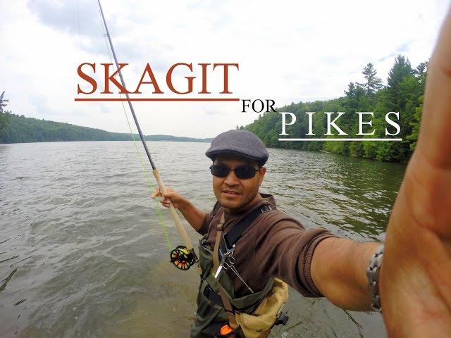 SKAGIT CASTING FOR PIKE!