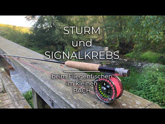 STURM und SIGNALKREBS beim Fliegenfischen im kleinen Bach / STORM and SIGNAL CANCER  fly fishing