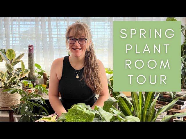 Spring 2023 Houseplant Tour - Touring My Spring Plant Room - Plant Tours