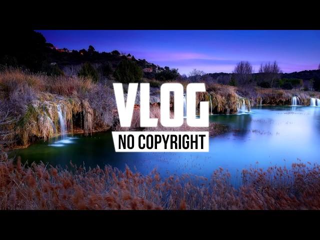 Xad - Birds (Vlog No Copyright Music)