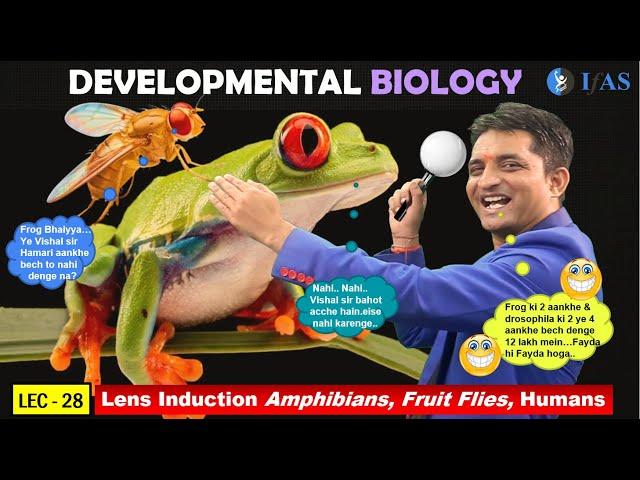 CSIR NET JUNE 2025 I Developmental Biology I Lecture 27 I Lens Induction in amphibians I IFAS