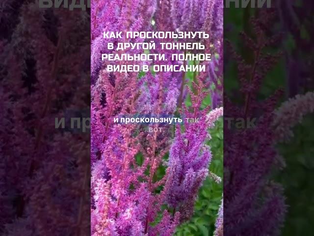 ВОЗДУШНОЕ СОЗНАНИЕ